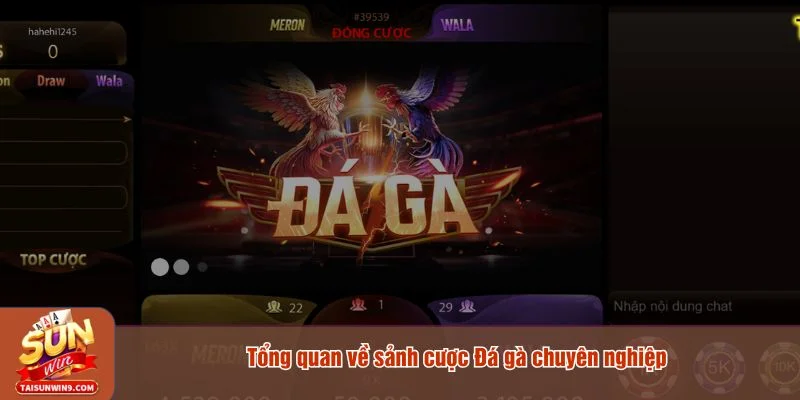 Đá gà tại Sunwin được triển khai theo mô hình trực tuyến 