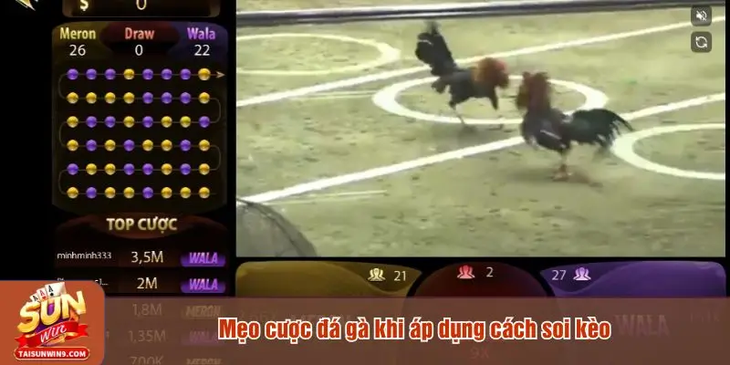 Mẹo cược đá gà khi áp dụng cách soi kèo