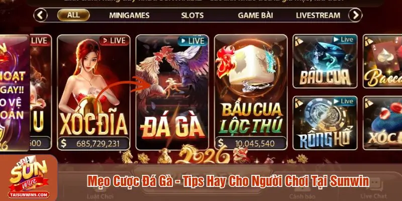 mẹo cược đá gà